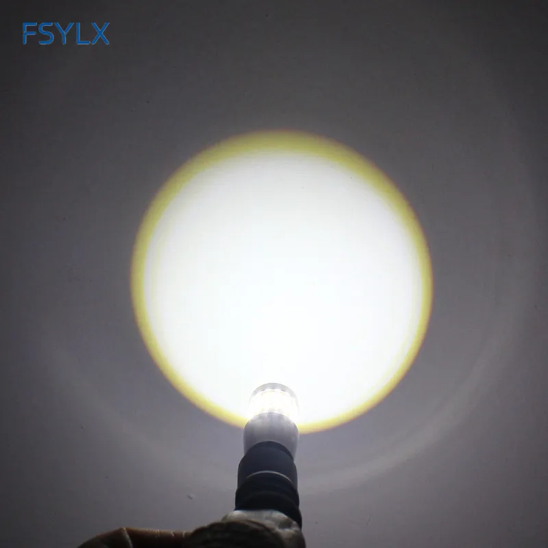 T10 29SMD LED (10)
