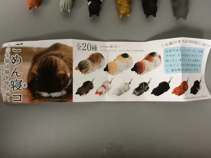 91