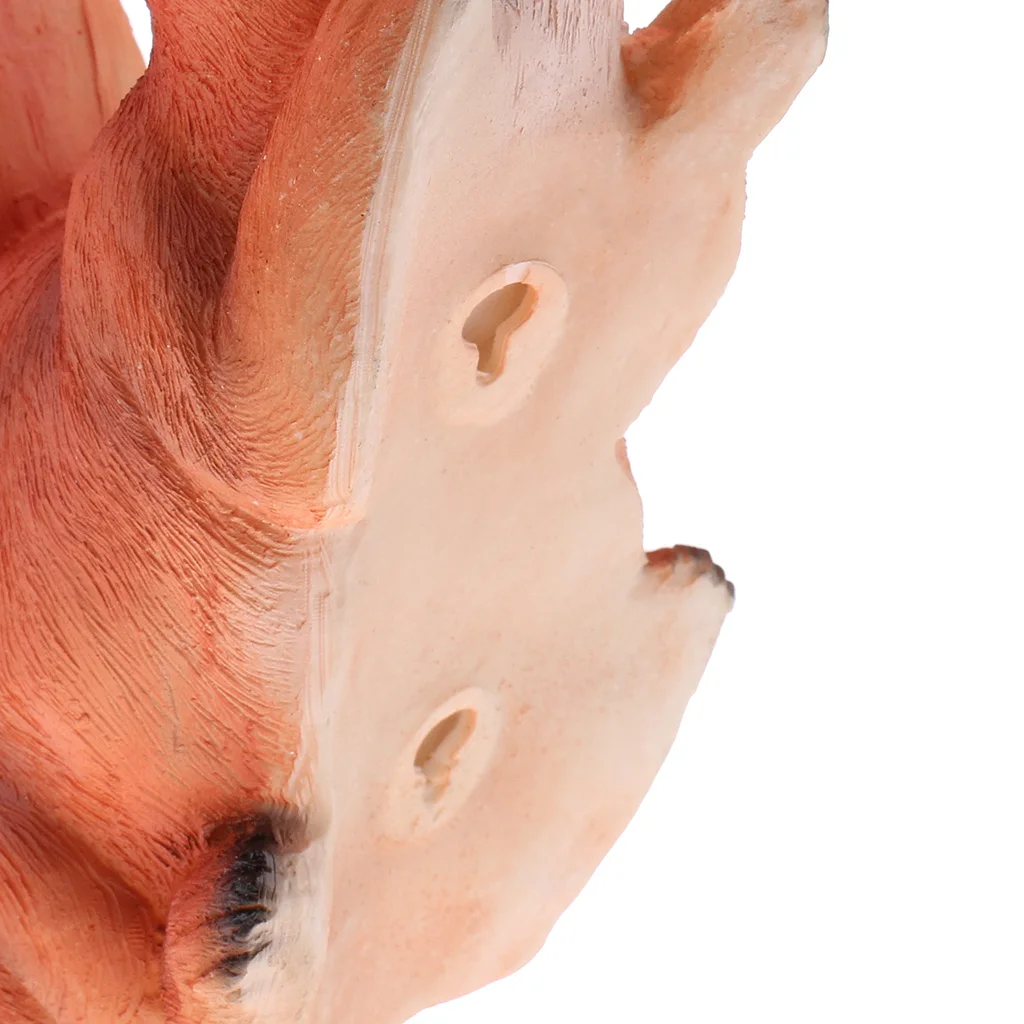 Collectible Realistic Squirrel Model Figure for Home Garden Tree Decorations