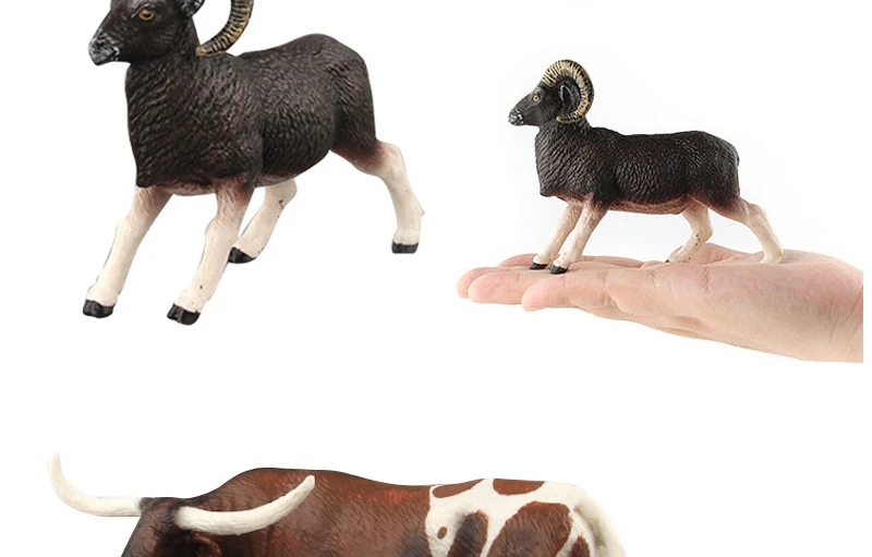 African Wild Animals Toys Antelope Zebra  Cattle Bull Argali Model Action Figures Lifelike Collectible Dolls Figurine Decor Gifts_05