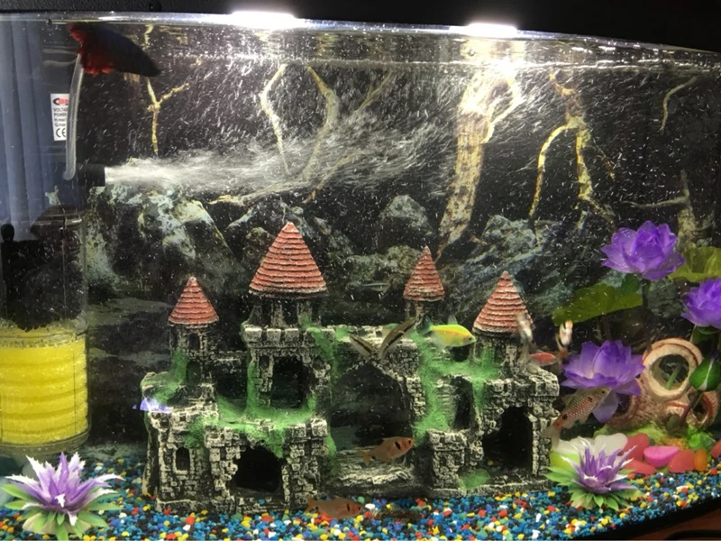 UT8i8x5XQpaXXagOFbXw_