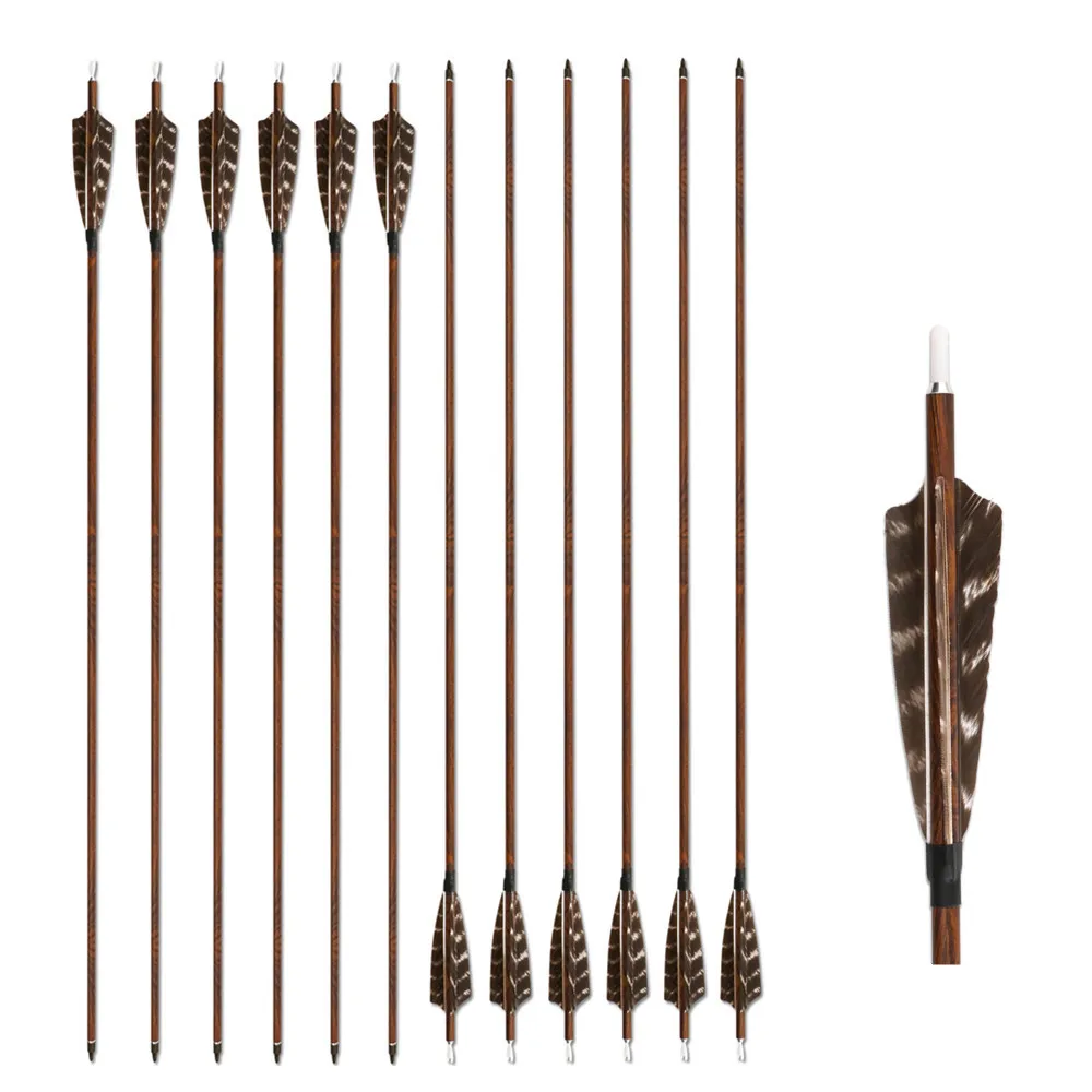 carbon arrows (8)