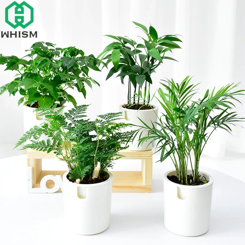 

WHISM Mini White Lazy Flower Pot Plastic Succulent Plant Pots Water Absorb Nursery Pots Automatic Watering Garden Pots Planters