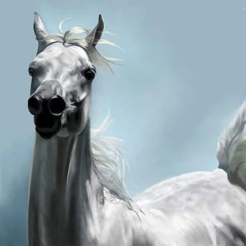 

GLymg Mosaic Gift Arabian Horse 5D Diamond Painting Needlework DIY Diamond Embroidery Rhinestone Kits Diamond Wall Arts Decorns