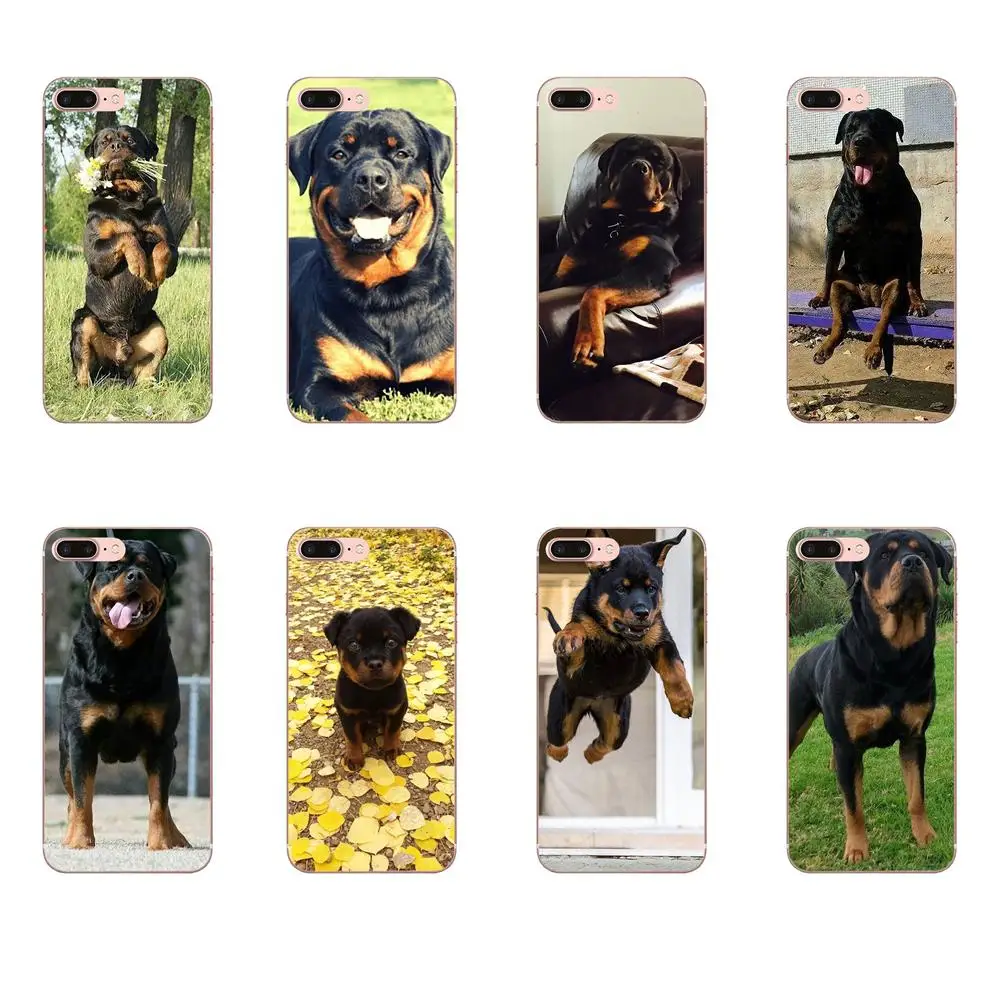

For Samsung Galaxy Note 5 8 9 S3 S4 S5 S6 S7 S8 S9 S10 mini Edge Plus Lite Soft Cell Phone Case Cover Rottweiler Dog