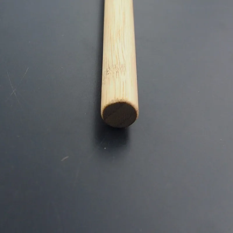 P1010296