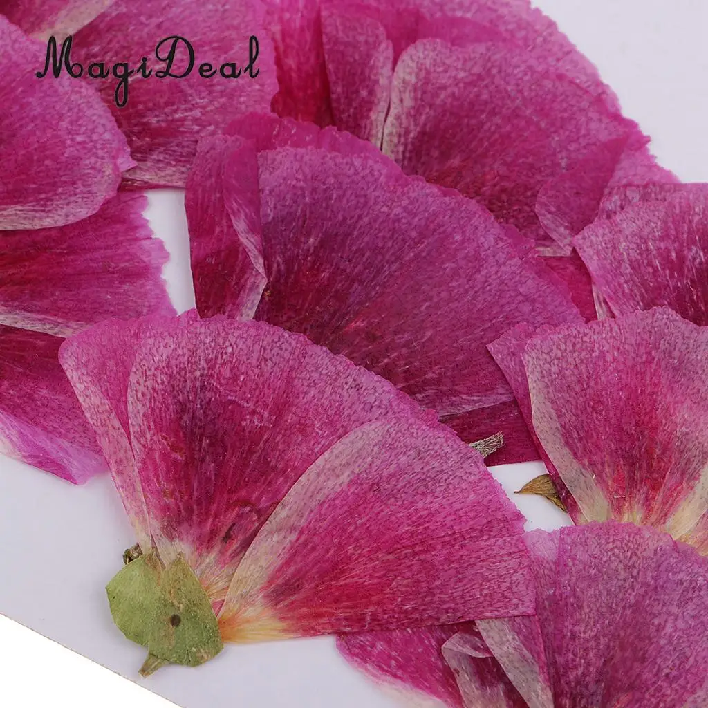 12pcs Beautiful Godetia Real Pressed Natural Dried Flowers for Art Craft Scrapbooking Card Making Resin Jewelry Making Craft DIY