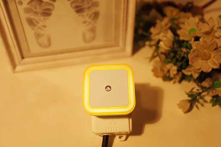 3182343750_1894273605