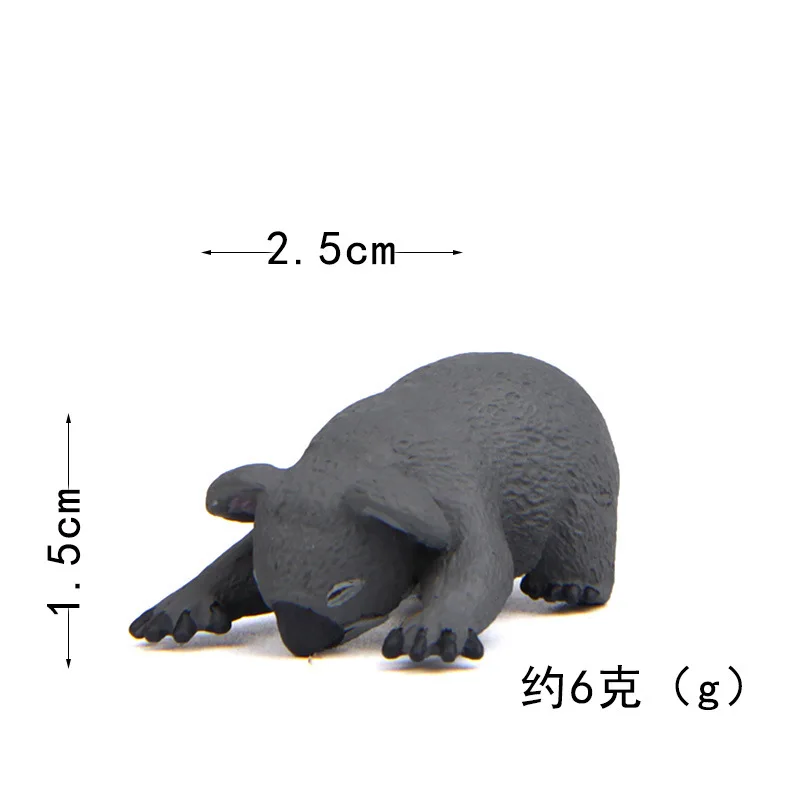 20190626_211556_116