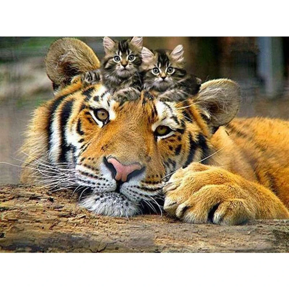 

DIY 5D Animal Tiger and kitten Full Drill Diamond Painting by Number Kits 15.7x11.8 Inches Home Art Crafts Decorations 40*30CM