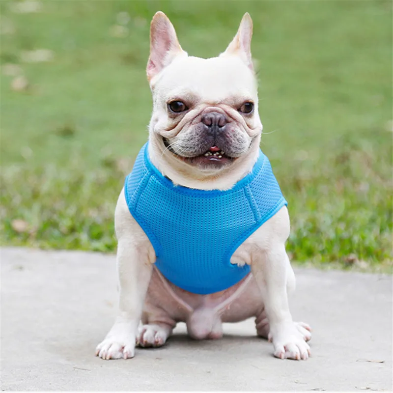 Поводок для собак жилет Чихуахуа Йоркского пуделя Bichon для Мопсов, французских бульдогов одежда, товары для домашних животных товары для собак