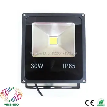 

(8PCS/Lot) DC12V 24V Warranty 3 Years Brigdelux Chip 30W LED Flood Light 12V LED Floodlight Outdoor Tunnel Spotlight Bulb