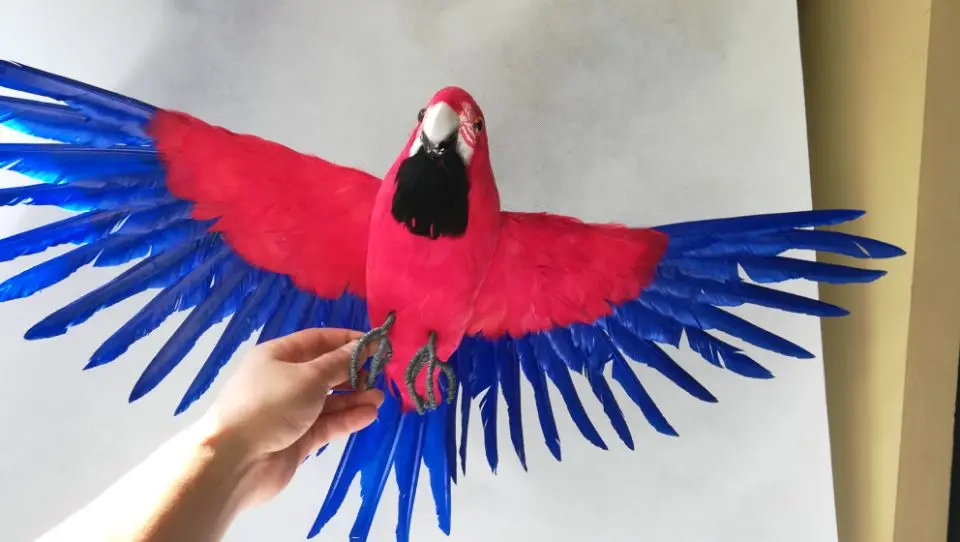 pajaro-de-la-vida-real-con-plumas-rojas-y-azules-modelo-grande-de-45x60cm-alas-extensibles-decoracion-de-jardin-utileria-juguete-de-regalo-h1218