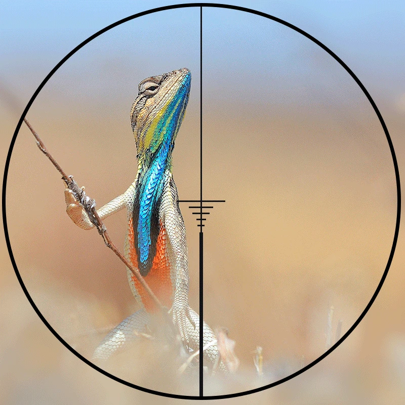 3X28 الأخضر الأحمر نقطة الصليب النطاق البصري التكتيكية البصريات بندقية Riflescope صالح 11/20 مللي متر السكك الحديدية بندقية نطاقات ل الصيد 3X28 الأخضر الأحمر نقطة الصليب النطاق البصري التكتيكية البصريات بندقية Riflescope صالح 11/20 مللي متر السكك الحديدية بندقية نطاقات ل الصيد
