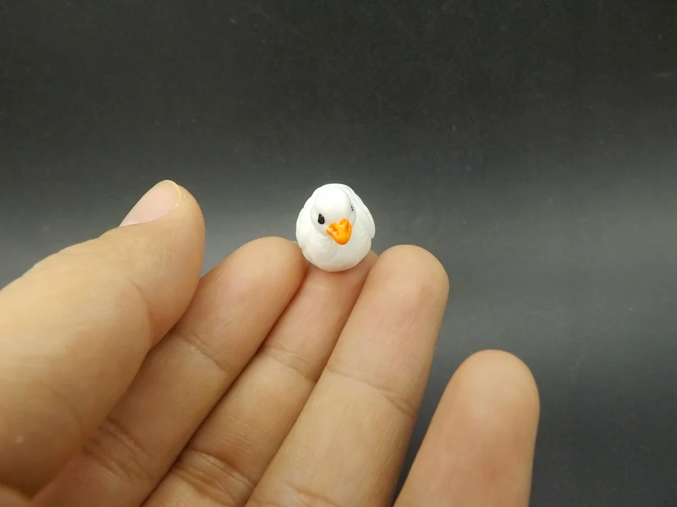 Tiny-A062 (2)