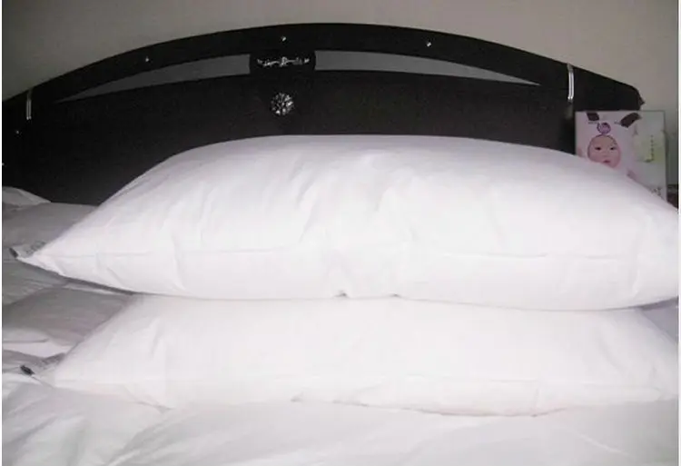 Free shipping epacket / Down pillow & neck pillow &duck ...