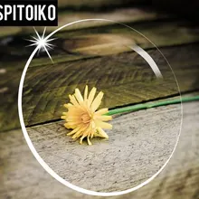 SPITOIKO 1,49 индекс стандартный объектив с одним видением дальнозоркость RX близорукость рецептурные линзы