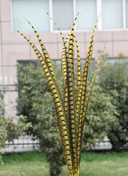 

Free shipping 50 pc pretty yellow pheasant feather, 36-40inches / 90-100cm DIY jewelry decoration, art clothing accessories