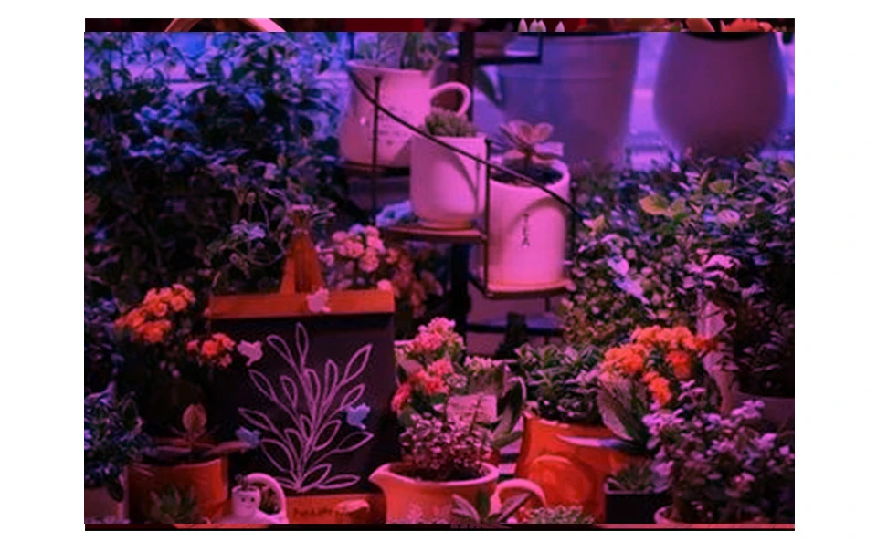 Светодиодная лампа для выращивания растений E27 Phytolamp полный спектр светодиодный светильник для выращивания растений лампа для растений комнатный сад гидропонный цветок рассада Fitolampy