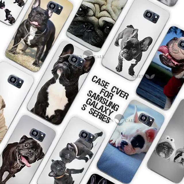 coque samsung a70 bouledogue