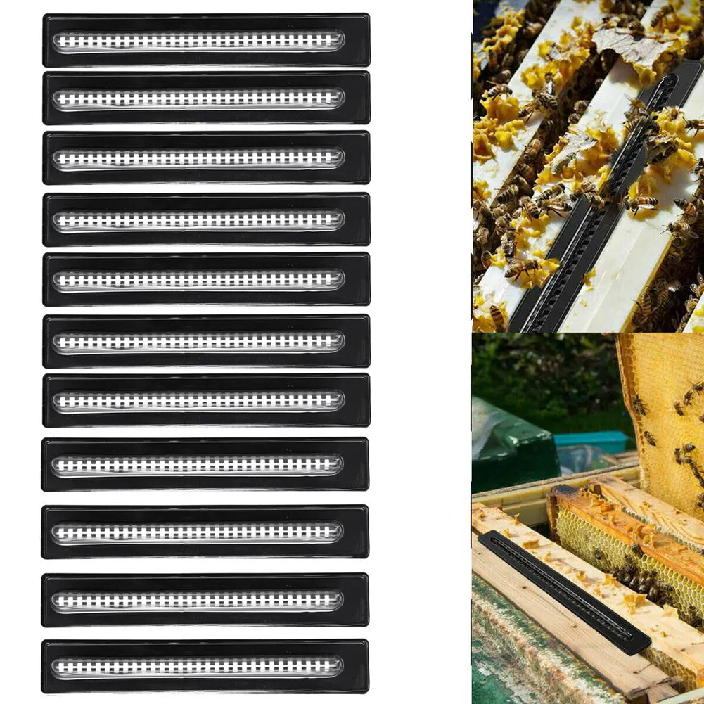 

10pcs Beekeeping Hive Better Beetle Blaster Beetle Trap Without Poisons Bee Black Traps Locust Beetle Traps Locust Traps