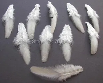 

200Pcs/Lot!5-8CM Natural White Soft Hackle Hen Feathers,Small White Craft Feathers for jewelry making,hat feathers