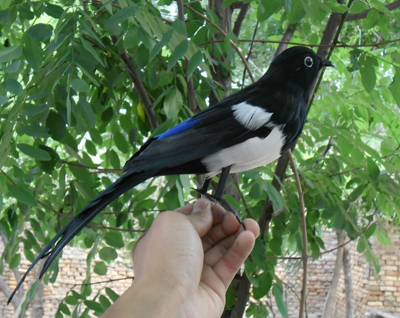 

about 30cm feathers magpie bird,Handmade model,polyethylene&feathers magpie bird ,prop,home decoration toy gift w3938