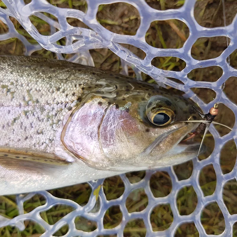 Набор мушек для рыбалки 16 шт. сухой и влажной рыбалки|for trout|nymph fliesbest lures |