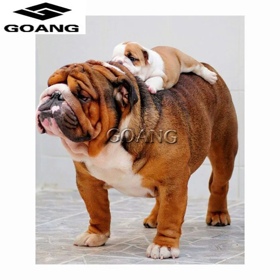 

New Full Square 5D Diy Diamond Painting dog diamond painting Cross Stitch Rhinestone Diamond Mosaic 5D Diamond Embroidery