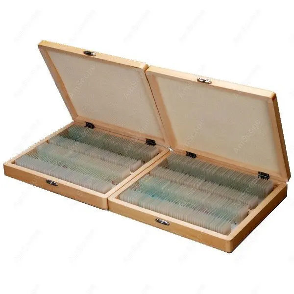 

Slide -AmScope Supplies 200 PC Prepared Microscope Glass Slide Set