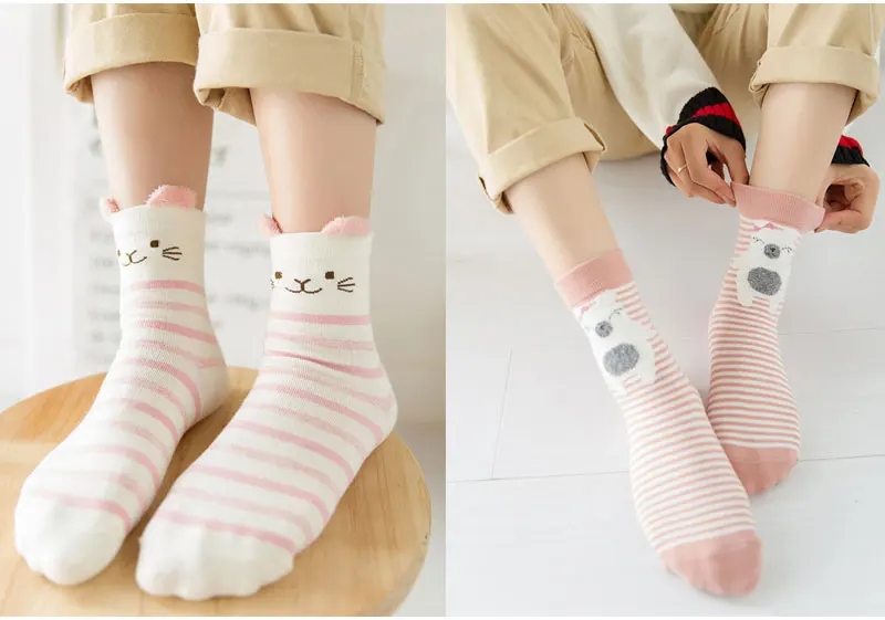 socks_06
