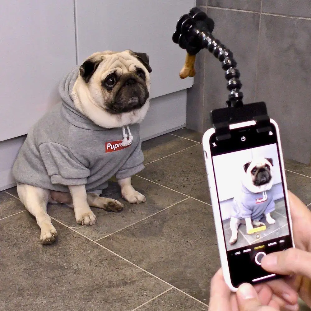 

2019 Pet Selfie Stick for Dog Cat Phone Attachment fit Most Smartphone Pad Pet Interactive Toy Pet Selfie Phone Clip Dropship