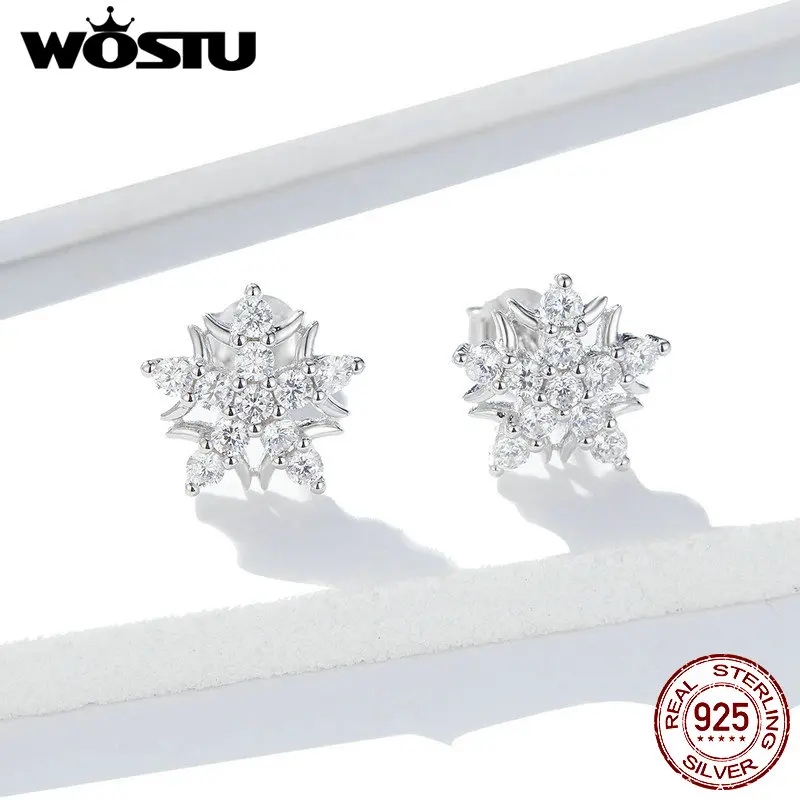 

WOSTU Real 100% 925 Sterling Silver Snowflake Wedding Stud Earrings Dazzling Zircon Small Earrings For Women Jewelry FNE228