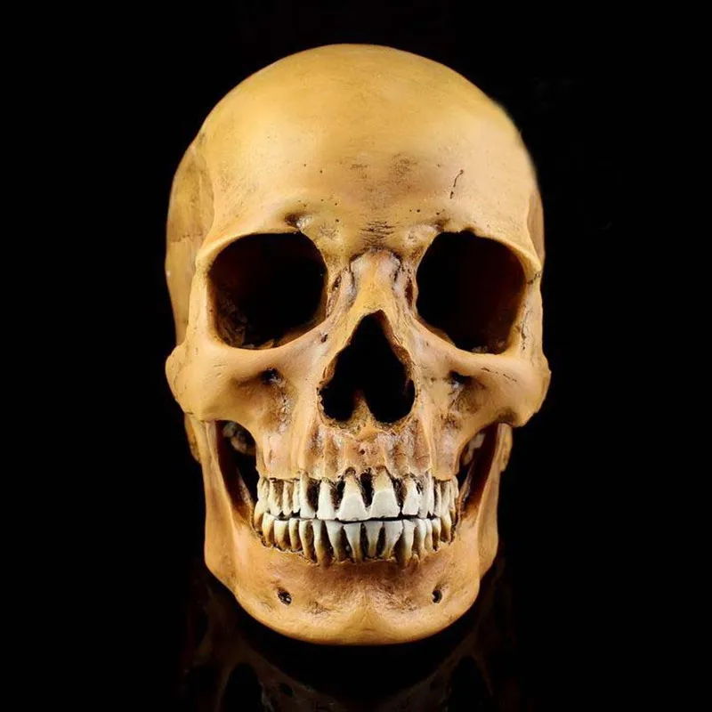 Горячая Распродажа высокая имитация 1:1 белый бежевый хаки Хэллоуин Декоративный коллективный смоляный Скелет человеческий череп модель