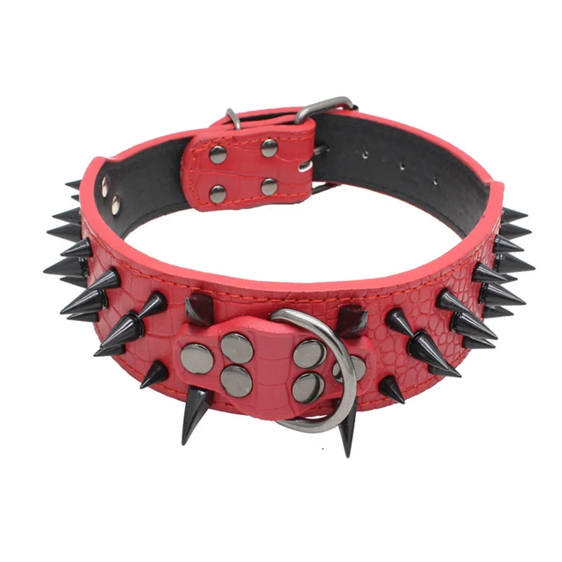 1 dog collar 