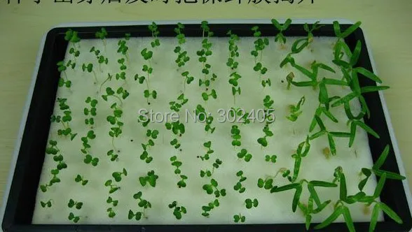 

Foam cubes and tray set for starting seeds for hydroponics system.Free shipping