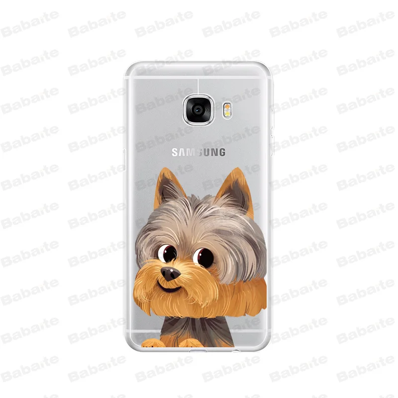 Cute  French Bulldog cartoon dog and cat