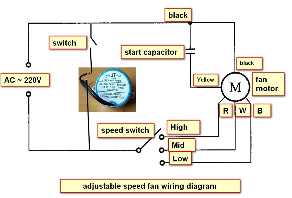fan