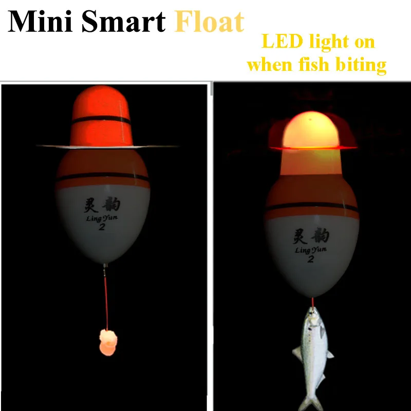 mini 6