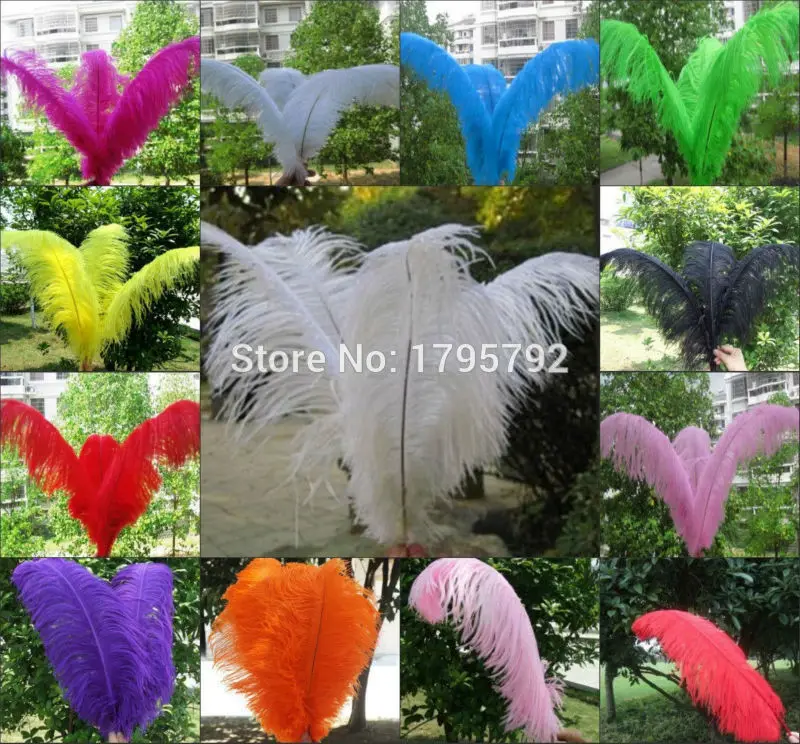 

Choose Colors! 100 pcs 30-35cm Natural Cartilage Feathers Craft Dress Making Bulk Sale Manufacturers Selling Ostrich Feathers