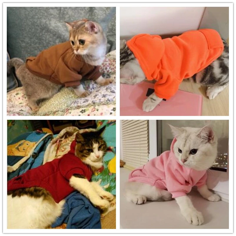 Warm Pet Clothes For Cats Clothing Autumn Winter Clothing for Cats Coat Puppy Outfit Clothes for Cat Hoodies pet clothes