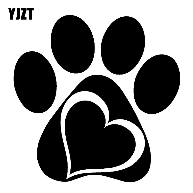 лапы и сердца домодедово