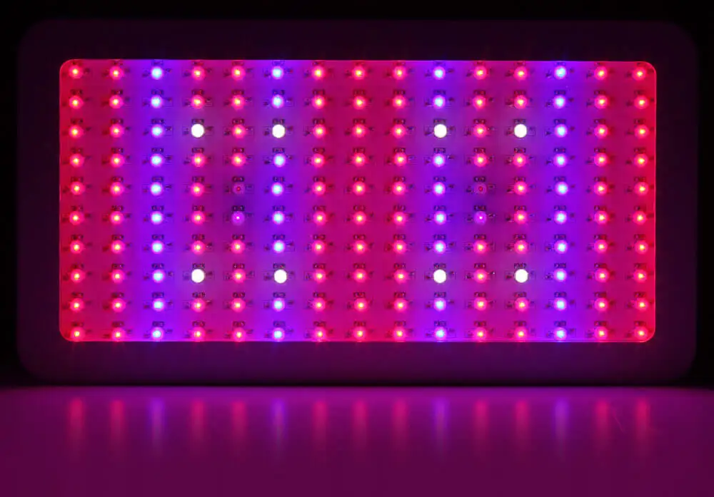 900 Вт полный спектр растут свет с 150 шт. чипы (6 Вт светодиодов) огни, подходит для Veg и цветения сцены. Растут быстрее и лучше