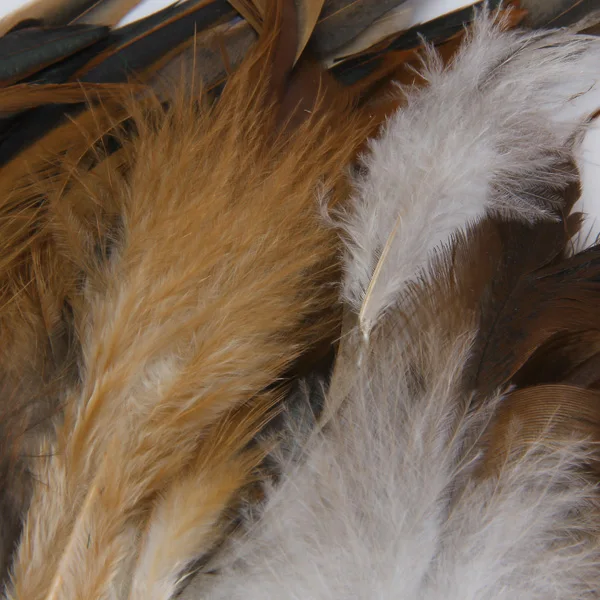 50PCS Natural Decoration Cock  Feather Idea For Costumes, Hats, Home