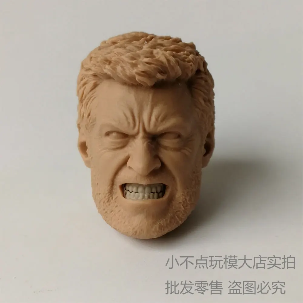 

blank 1/6 Head Sculpt Logan Hugh Jackman old age Wolverine 3 X-Men unpainted