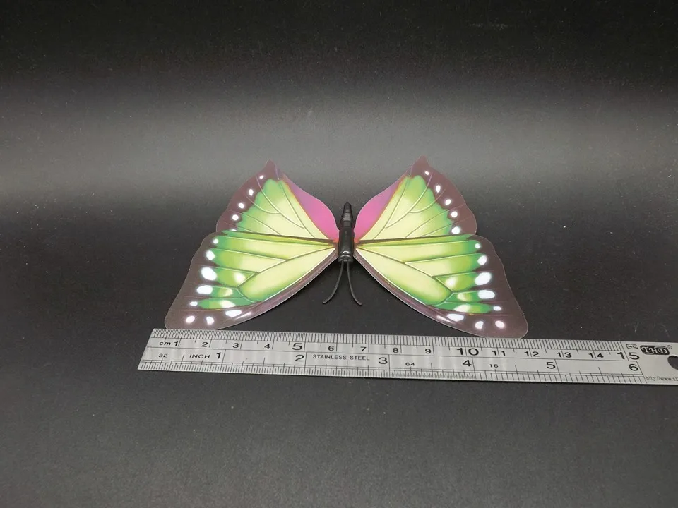 I238-Butterfly (11)