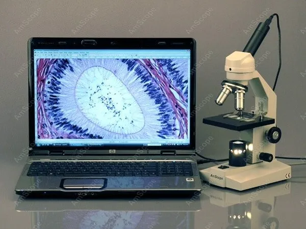 Студенческий составной Микроскоп AmScope поставки 40x 400x студенческий LED