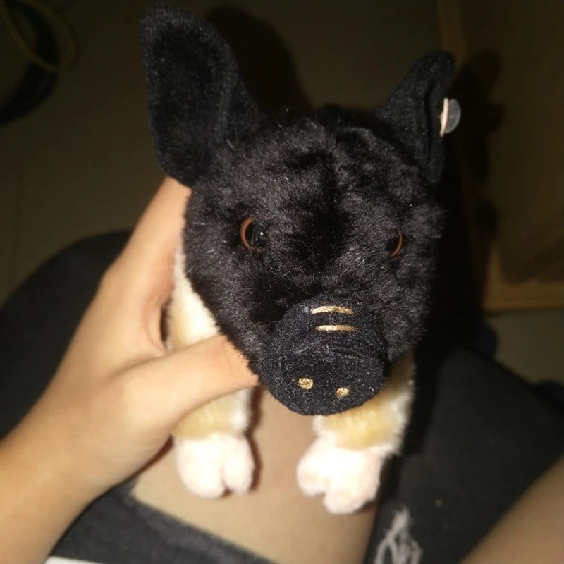 cute pig plush doll animals pig doll plush toy simulation animal wild boar dolls kids and adults gift 6.7inch 17cm DY50347 (9)