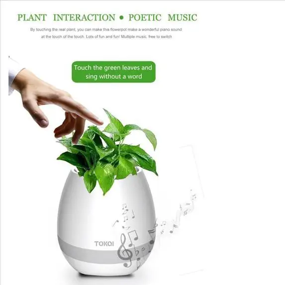 flower pot