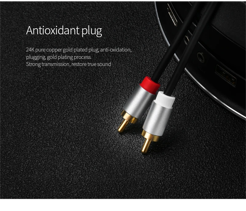 2RCA_06